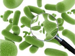 Your Gut Thanks You – Red Deer Fitness Tips