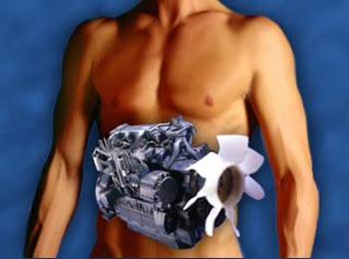 Red Deer Fitness Strategies: Six Ways to Boost Your Metabolic Rate
